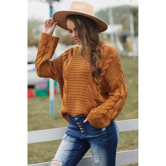 Chic Brown Cable Knit Sweater With Batwing Sleeves - Picture 4 of 5